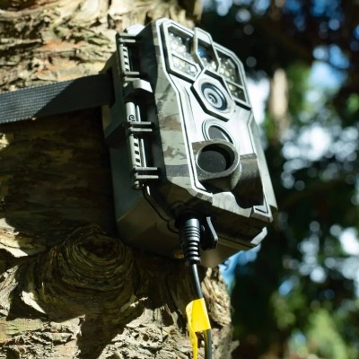 2V AC/DC Güç Adaptörü