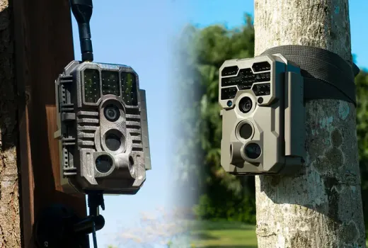 Hücresel ve Hücresel Olmayan Fotokapanlar: Hangisi Sizin İçin Uygun?