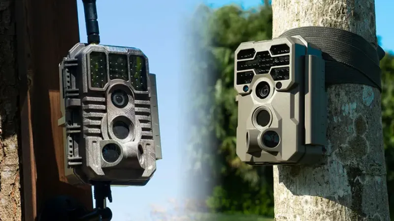 Hücresel ve Hücresel Olmayan Fotokapanlar: Hangisi Sizin İçin Uygun?