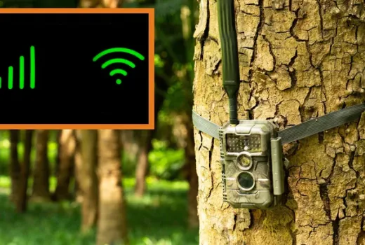 Hücresel Olmayan İz Kameraları Neden 2025'in En İyi Seçimi?