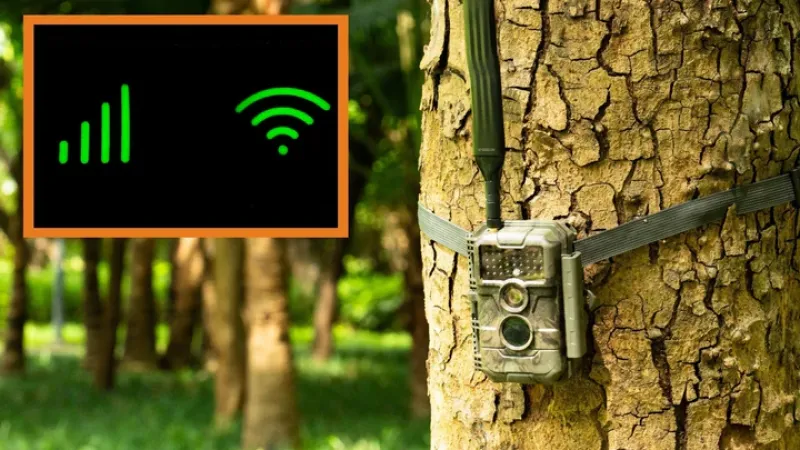 Hücresel Olmayan İz Kameraları Neden 2025'in En İyi Seçimi?