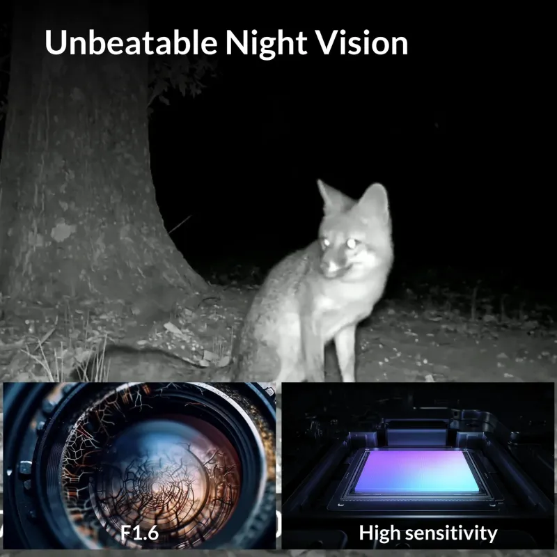 GardePro X60P Live Max