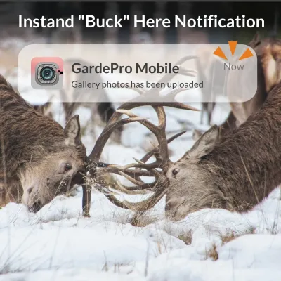 GardePro X60P Live Max